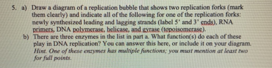 5. a) Draw a diagram of a replication bubble that shows two replication forks (mark them clearly) and indicate all of the fol