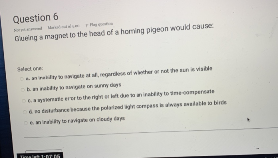 Question 6 Not yet answered Marked out of 4.00 p Flag question Glueing a magnet to the head of a homing pigeon would cause: S