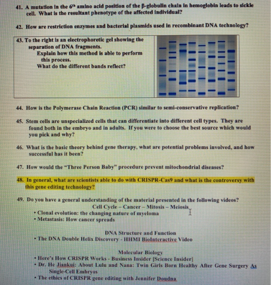 41. A mutation in the 6 amino acid position of the B-globulin chain in hemoglobin leads to sickle cell. What is the resultant