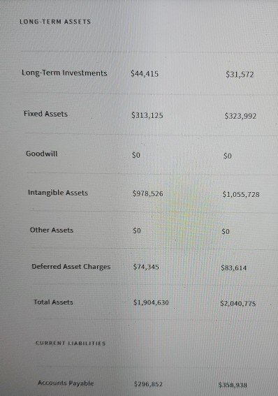 LONG-TERM ASSETS Long-Term Investments $44,415 $31,572 Fixed Assets $313,125 $323,992 Goodwill SO SO Intangible Assets $978,5