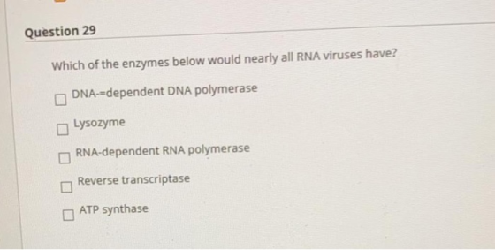 Question 29 Which of the enzymes below would nearly all RNA viruses have? DNA-=dependent DNA polymerase Lysozyme RNA-dependen