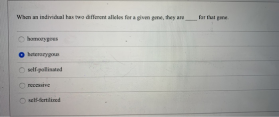 When an individual has two different alleles for a given gene, they are for that gene. homozygous o heterozygous self-pollina