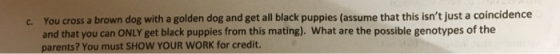 You cross a brown dog with a golden dog and get all black puppies (assume that this isnt just a coincidence and that you can ONLY get black puppies from this mating). What are the possible genotypes of the parents? You must SHOW YOUR WORK for credit. c.