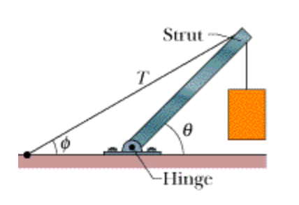 Strut . Hinge