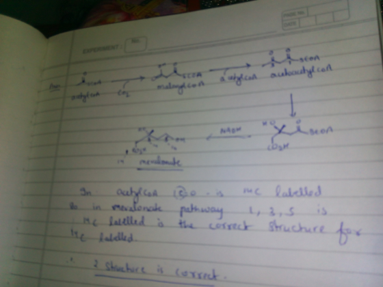 k4gw Se eA