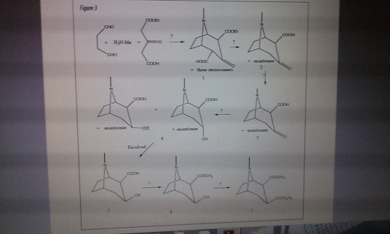Figure 3 CHO 2 + three OH OH