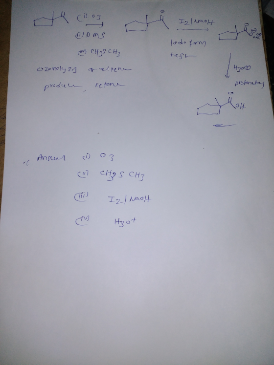 nơ pretonah T2