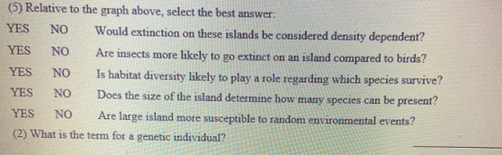 (5) Relative to the graph above, select the best answer: YES NO Would extinction on these islands be considered density depen