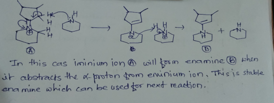 (OKH In this cas iminium ion ® will form enamine when it abstracts the x-proton from eminium ion. This is stable ena mine whi