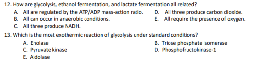 12. How are glycolysis, ethanol fermentation, and lactate fermentation all related? A. All are regulated by the ATP/ADP mass-