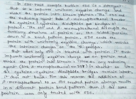 2012 In SDS-PAGE-sample buffer. sDSL 5 a derman ㅡ that ke- t innpanrs unifomm nes ahive change and the eduam _prorein.-The SDSJ and, β men aalp to ethanol ds nubb-he orine.. disulphide bndan ot Atnucture of prohein so, th folded proteine doun to a-band patten rotein. sps eoahるthe protein with unifoomly megehve chomeshich monka arive impants uniformqive chaueo on prottin and make the ineanHee Oy he re the cyatene atotne disulblhide bridgenemain tntoct ataine disulphide brider memain intact doe mbrak. Fo thh reon the addihion of p-mecptoethanelto an SDs treated protin aluoayo mdbs in a diferen pootein band padtern than t tein wan only teaed uith SDS.