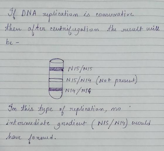 Hf DNA suplication is consumative then after centrifugation the result will be- N15/N15 N15/N14 (not present) EN 14/N16 In th