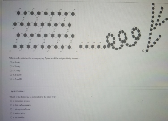 Which molecule(s) in the accompanying figure would be indigestible by humans? a. A only Ob.Banily Oc Conly Od B and C O e A a