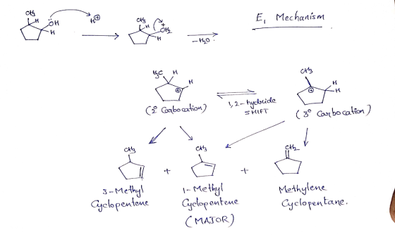 ck, LH ck A E, Mechanism oH 5. Mechanism -thoi с и ch 2 Coqbocation) 12-hybride SHIFT (30 Carbocation) с cthy < + +. C 3-Met