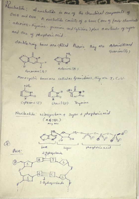DNg and RNA hour chunitals and one oh pheghani double hing band are did Puurs. Rida Guanin(G Adenine 09 j 0 hanat auo y ovie