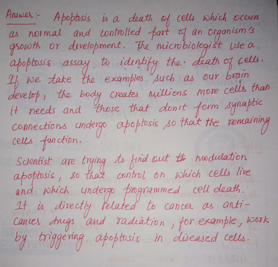 Answes Anviar- Apoptesis in a death ef cell which occun as nol nual and tontrblled tort t an Drganism s gio abobtosis assay toth OY dovelopment. The microbiologist uiea .iduntiky the, cteathot cells we take e exampls Buch as our brain deve lop, tha bodly creates illions more celis thatr it needs and those that donit form synaptio connections undergo abobtosis so thait the vemain cells tun ction. dentist are trying右ktndout协Modulation apobtosis, so ha contol on which cells he and ohich undero pngrammed cell deat It iA directly related to cancer as anti Canes tiugs and vadition for example, Aook by triggering atoptsis 、n disea sed cells and Tadi ation ) tor example , eork