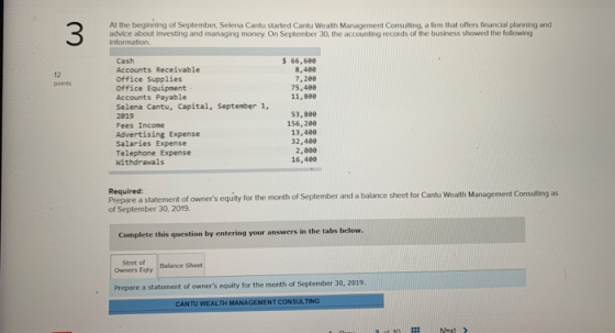 At the beginning of September, Selena Cantu started Cantu Wealth Management Consulting, a firm that offers financial planning