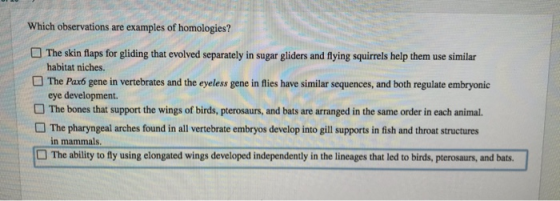 Which observations are examples of homologies? O The skin flaps for gliding that evolved separately in sugar gliders and flyi