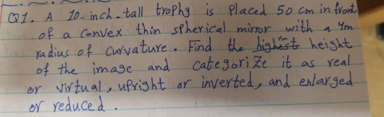 Q1. A 10-inch tall trophy is placed 50 cm in front Son of a convex thin spherical mirror with a m radius of curvature. Find t