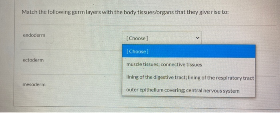 Match the following germ layers with the body tissues/organs that they give rise to: endoderm [Choose) [Choose] ectoderm musc