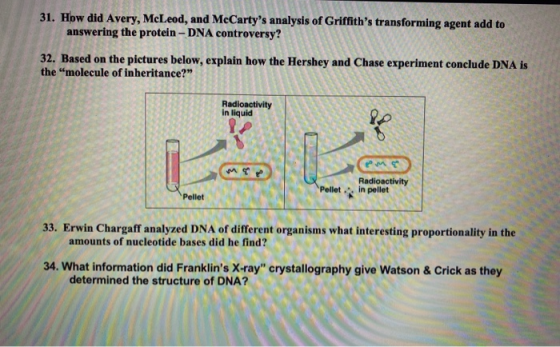 31. How did Avery, McLeod, and McCartys analysis of Griffiths transforming agent add to answering the protein-DNA controver