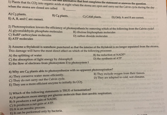 ME LIIL URE alternative that best completes the statement or answers the question. 1) Plants that fix CO2 into organic acids