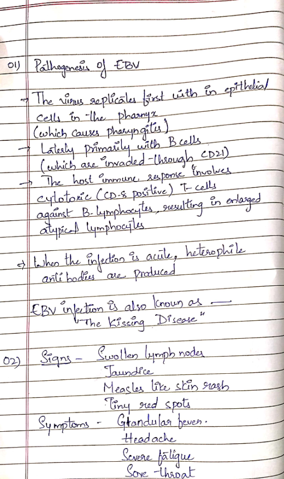 The ius seplicalu ist uith n sptlkaial cell tn lhe phaayz. (which Caues Lalaky pimail wa Bels (which ase nvaded-thsouglh CD2)