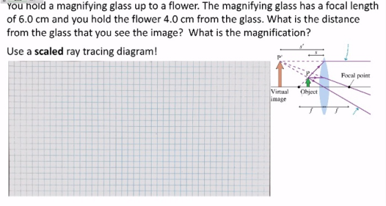 You hold a magnifying glass up to a flower. The magnifying glass has a focal length of 6.0 cm and you hold the flower 4.0 cm