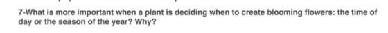What is more important when a plant is deciding wh