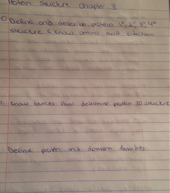 Define and describe protein 1 degree, 2 degree, 3