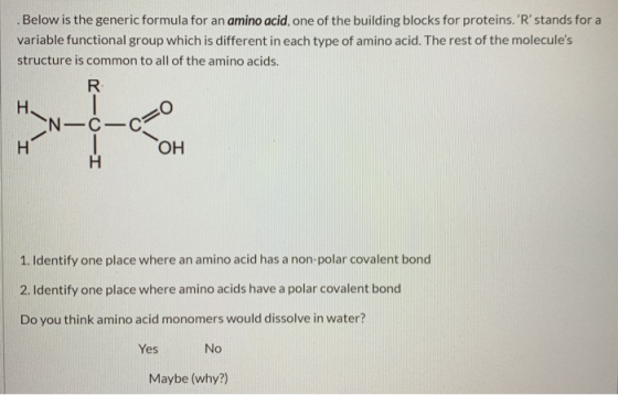 .Below is the generic formula for an amino acid, one of the building blocks for proteins. R stands for a variable functiona
