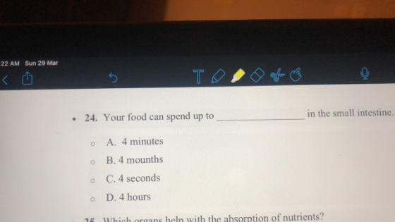 22 AM Sun 29 Mar Too of 24. Your food can spend up to in the small intestine. o o o A. 4 minutes B. 4 mounths C. 4 seconds D.