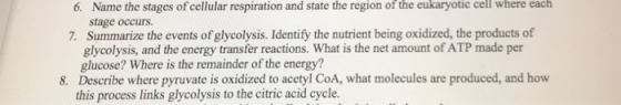 6. Name the stages of cellular respiration and state the region of the eukaryotic cell where each stage occurs. Summarize the