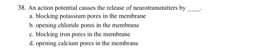 38. An action potential causes the release of neurotransmitters by a. blocking potassium pores in the membrane b. opening chl