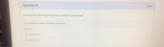 U Question 22 1 pts Which of the following plant groups reproduce using seeds? bryophytes (mosses, hornworts, Ilverworts) fer