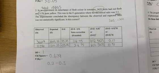 P(Ho)0.05 P (Ho)- totl 4 In an experiment on inheritance of flesh colour in tomatpes, 3629 fruits had red flesh and 1176 vere