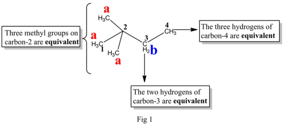Three methyl groups on)
carbon-2 are equivalent
EN
The three hydrogens of
carbon-4 are equivalent
IOW
The two hydrogens of
ca
