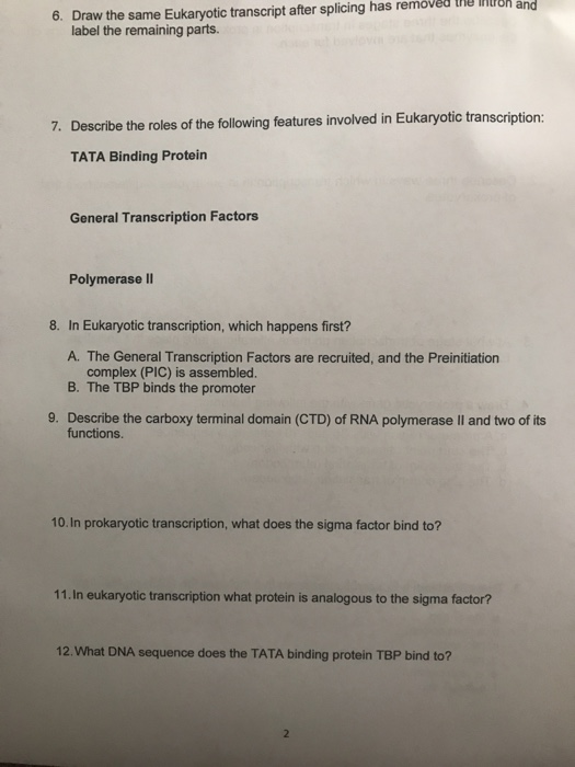 on and 6. Draw the same Eukaryotic transcript after splicing has removed the m label the remaining parts. 7. Describe the rol