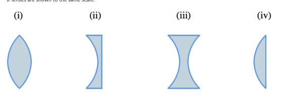 (i) (ii) (iii) (iv) -