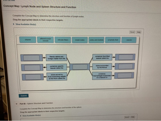 CC 20 V Concept Map: Lymph Node and Spleen Structure and Function Complete the Concept Map to determine the structure and fun