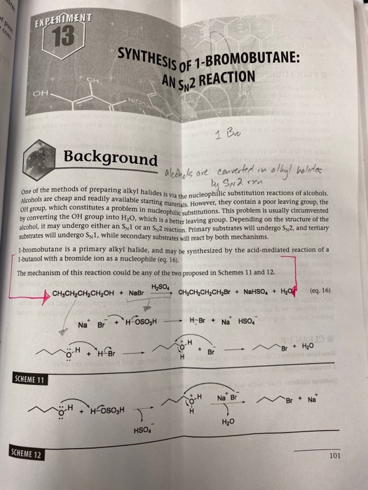 EXPERIMENT 13 SYNTHESIS OF 1-B1 NTHESIS OF 1-BROMOBUTANE: AN SM2 REACTION 1 Bro Background - alcohols are converted in olayl