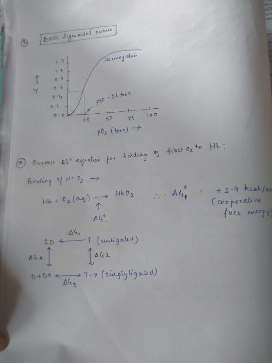 ② Basic Sigmoidal curve Haemogloluir - - 0.8 0.6 0.4 P50 = 26 torr 0.2 + o 0.0 100 25 50 75 pO2 (torr) → of first og to Hb: @