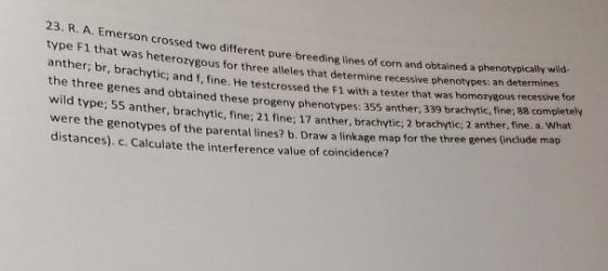 23. R. A. Emerson crossed two different pure breeding lines type Fl that was heterozygous for three alleles that determine re