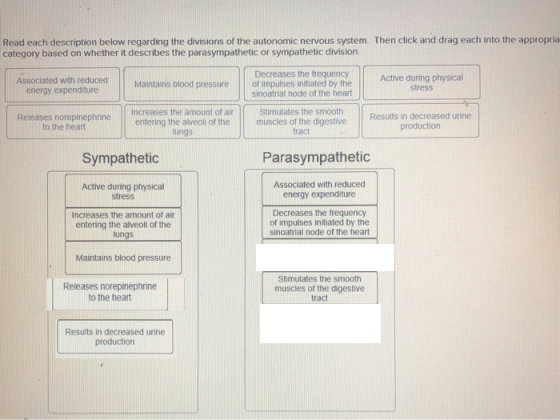 Read each description below regarding the divisions of the autonomic nervous system. Then click and drag each into the approp
