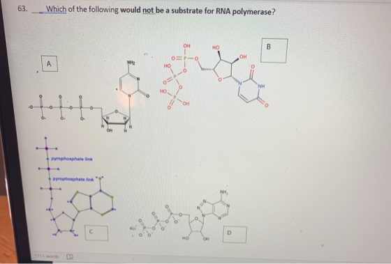 63. Which of the following would not be a substrate for RNA polymerase? 0 0 pyrophosphate link pyrophosphate link O-S=0 OOOO