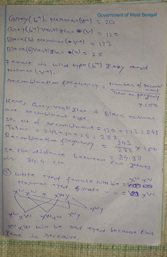 = 123 Government of West Bengal Grey (6) Norman() = 20 Grey (6+) Vestigiar o (W) (20 Black (6) Norman ( vt) Black CH(6) Vesti