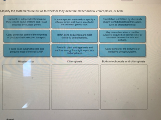 Classify the statements below as to whether they describe mitochondria, chloroplasts, or both. Cannot live independently beca