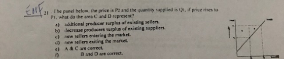 21 The panel below, the price is P2 and the quantity supplied is Q1, if price rises to PI, what do the area C and D represent