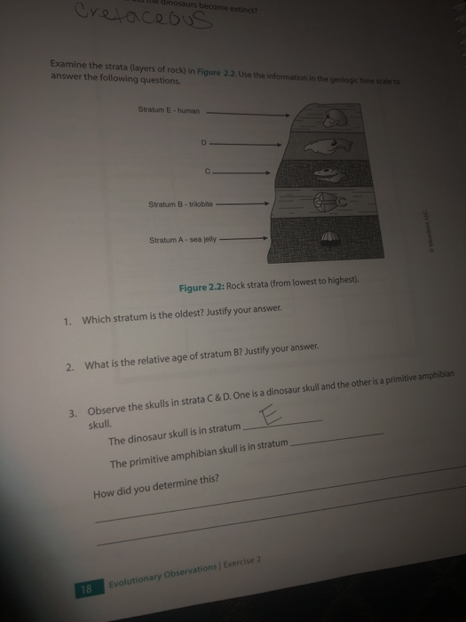 dinosaurs become extinct? Cretaceous Examine the strata (layers of rock) in Figure 2.2. Use the information in the geologic t
