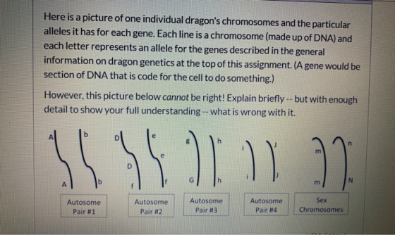 Here is a picture of one individual dragons chromosomes and the particular alleles it has for each gene. Each line is a chro